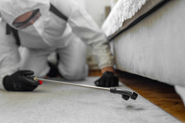 Professional Termite Control technician working in Lynn, IN