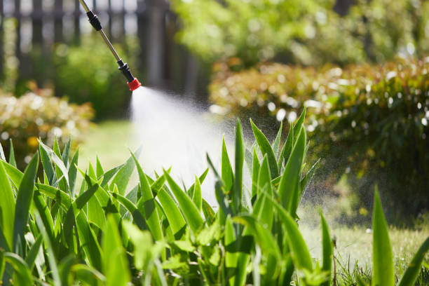 24/7 Emergency Termite Control experts in Lynn, IN