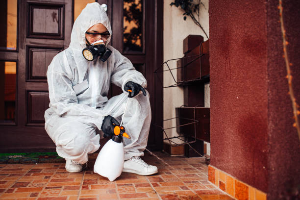 Reliable Termite Control contractor in Lynn, IN by Nex Pest Control