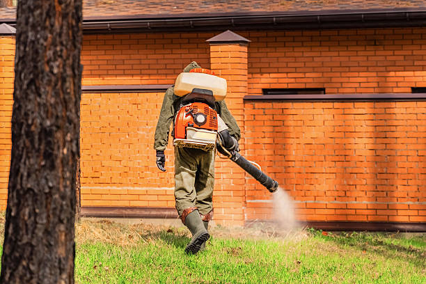 Top rated local Termite Control specialists in Lynn, IN